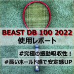 BEAST DB 100 2022